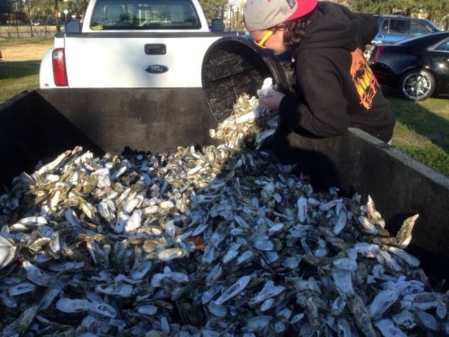 Oyster Shell Recycling Coastal Caterers